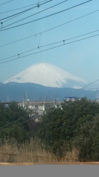 20140313sumafo 377.jpg
