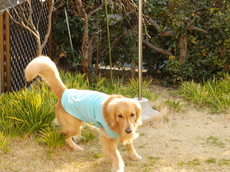20140316olympus2 057.JPG