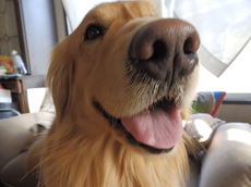 20140317olympus2 016.JPG