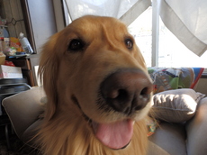 20140317olympus2 023.JPG