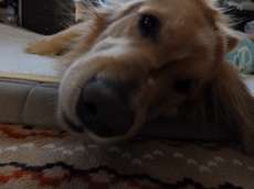 20140321olympus 008.JPG