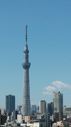 20140321sumafo 441.jpg