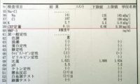 三宅小夜様参考